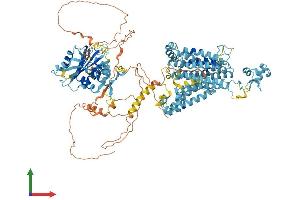 Protein Structure (PS) image for Solute Carrier Family 4, Sodium Bicarbonate Cotransporter, Member 7 (SLC4A7) (AA 1-1034) protein (His tag) (ABIN7564426)