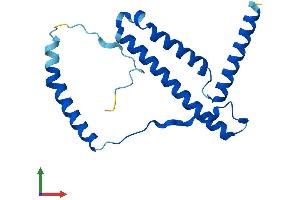 Protein Structure (PS) image for NADH Dehydrogenase (Ubiquinone) 1 beta Subcomplex, 10, 22kDa (NDUFB10) (AA 1-172) protein (His tag) (ABIN7549673)
