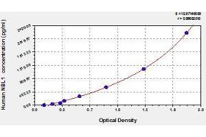 Typical standard curve (NBL1 ELISA 试剂盒)