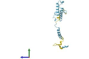 AlphaFold protein structure predicition of Human Recombinant MPHOSPH6 Protein, UniprotID Q99547