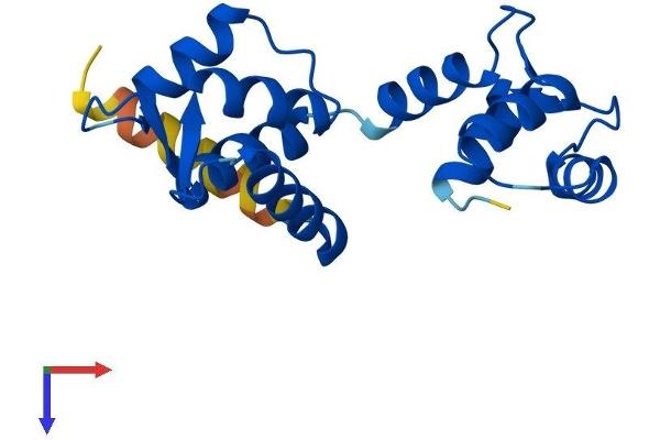 CETN3 Protein (AA 1-167) (His tag)