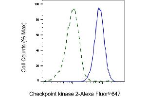 Flow cytometric analysis of Checkpoint kinase 2 expression in HAP-1 cells using Checkpoint kinase 2 antibody (ABIN7798040), 1:2,000). (Recombinant CHEK2 抗体)