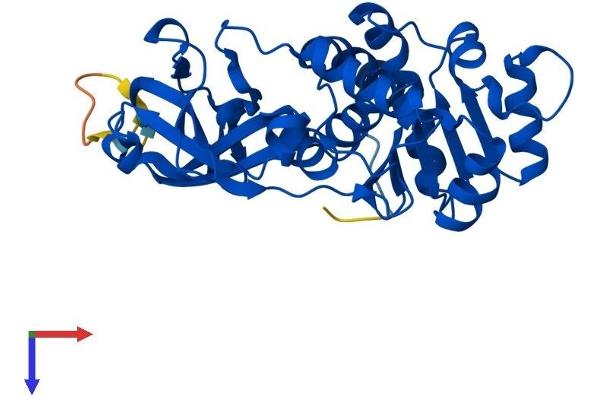 EPM2A Protein (AA 1-331) (His tag)