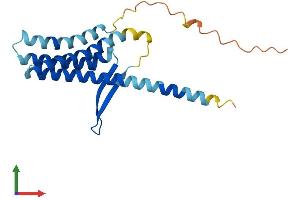 AlphaFold protein structure predicition of Human Recombinant TVP23B Protein, UniprotID Q9NYZ1 (TVP23C/FAM18B2 Protein (AA 1-205) (His tag))