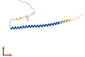 AlphaFold protein structure predicition of Human Recombinant CEBPG Protein, UniprotID P53567