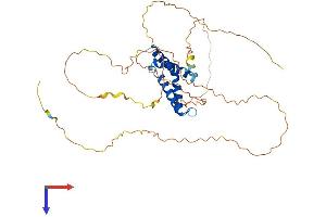 CIART (AA 1-375) protein (His tag)