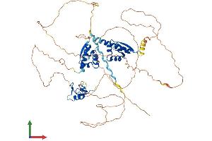 Protein Structure (PS) image for Mex-3 Homolog C (C. Elegans) (MEX3C) (AA 1-659) protein (His tag) (ABIN7554568)