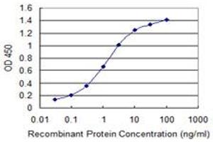 Detection limit for recombinant GST tagged RBM12 is 0. (RBM12 抗体  (AA 834-932))