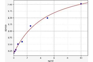 Typical standard curve (GALNT7 ELISA 试剂盒)