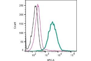 Cell surface detection of /LRRC4 by indirect flow cytometry in live intact human  monocytic leukemia cell line: + goat-anti-rabbit-APC. (LRRC4 抗体  (Extracellular))