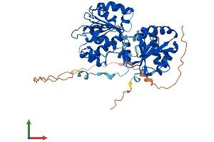 AlphaFold protein structure predicition of Human Recombinant DDX6 Protein, UniprotID P26196