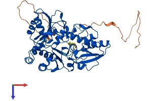 DPH1 Protein (AA 1-438) (His tag)