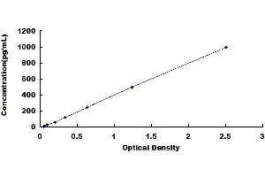 Typical standard curve (CCL19 ELISA 试剂盒)