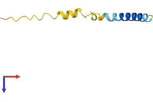 Lens Epithelial Protein (LENEP) (AA 1-61) protein (Fc Tag)