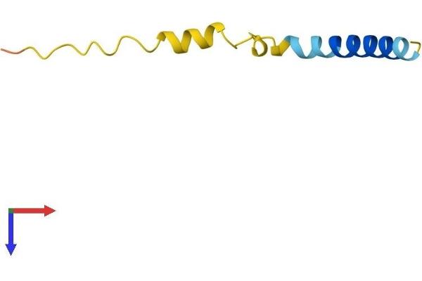 Lens Epithelial Protein (LENEP) (AA 1-61) protein (Fc Tag)