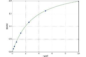 A typical standard curve (SULT2A1 ELISA 试剂盒)