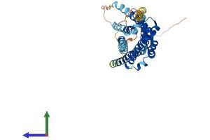 AlphaFold protein structure predicition of Mouse Recombinant Oprk1 Protein, UniprotID P33534