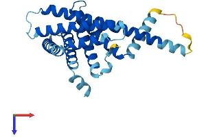 PEX11A Protein (AA 1-246) (His tag)