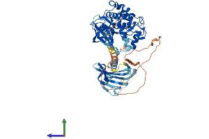 Protein Structure (PS) image for Calcium/calmodulin-Dependent Protein Kinase II gamma (CAMK2G) (AA 1-558) protein (His tag) (ABIN7554229)