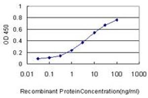 Detection limit for recombinant GST tagged WNK2 is approximately 0. (WNK2 抗体  (AA 2118-2217))