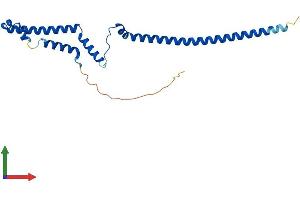 Protein Structure (PS) image for Polyamine Modulated Factor 1 (PMF1) (AA 1-202) protein (His tag) (ABIN7560486)