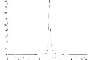 The purity of Mouse LIF is greater than 95 % as determined by SEC-HPLC. (LIF Protein (AA 25-203) (Fc Tag))