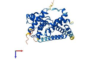 Cyclin D2 Protein (CCND2) (AA 1-289) (His tag)
