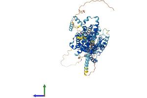 Protein Structure (PS) image for Solute Carrier Family 26 (Sulfate Transporter), Member 2 (SLC26A2) (AA 1-739) protein (His tag) (ABIN7555325)