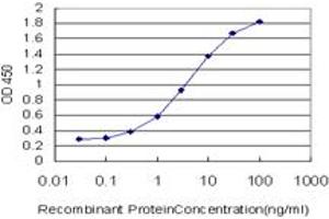Detection limit for recombinant GST tagged ULK2 is approximately 0. (ULK2 抗体  (AA 743-843))
