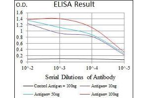 Black line: Control Antigen (100 ng), Purple line: Antigen(10 ng), Blue line: Antigen (50 ng), Red line: Antigen (100 ng), (VAV1 抗体  (AA 121-324))