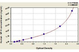 NEFH ELISA 试剂盒