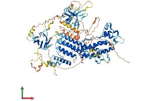 Protein Structure (PS) image for Ras Interacting Protein 1 (RASIP1) (AA 1-963) protein (His tag) (ABIN7555109)