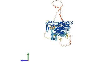 Protein Structure (PS) image for Kinesin Heavy Chain Member 2A (KIF2A) (AA 1-706) protein (His tag) (ABIN7554332)