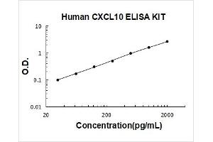 Chemokine (C-X-C Motif) Ligand 10 (CXCL10) ELISA Kit
