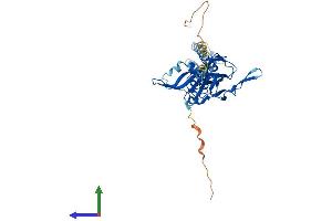Protein Structure (PS) image for Potassium Inwardly-Rectifying Channel, Subfamily J, Member 9 (KCNJ9) (AA 1-393) protein (His tag) (ABIN7554301)