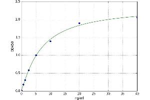 A typical standard curve (AGT ELISA 试剂盒)