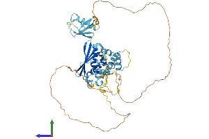 AlphaFold protein structure predicition of Human Recombinant FBXO7 Protein, UniprotID Q9Y3I1 (FBXO7 Protein (AA 1-522) (His tag))