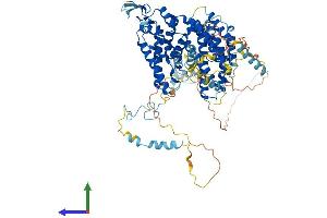 Protein Structure (PS) image for Activating Signal Cointegrator 1 Complex Subunit 2 (ASCC2) (AA 1-757) protein (His tag) (ABIN7552450)
