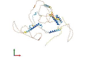 Protein Structure (PS) image for Spermatogenesis Associated 7 (SPATA7) (AA 1-582) protein (His tag) (ABIN7558368)