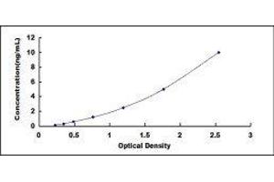Canopy 2 Homolog (CNPY2) ELISA Kit