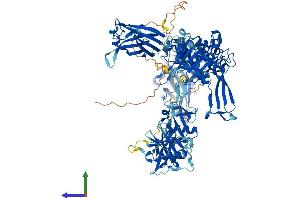 Protein Structure (PS) image for Ubiquitin Specific Peptidase 7 (Herpes Virus-Associated) (USP7) (AA 1-1102) protein (His tag) (ABIN7555927)