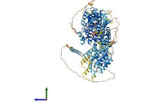 Protein Structure (PS) image for Mitogen-Activated Protein Kinase Kinase Kinase 6 (MAP3K6) (AA 1-1288) protein (His tag) (ABIN7554498)
