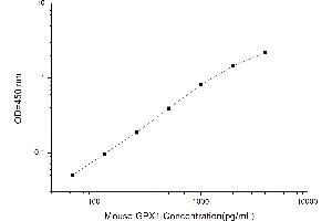 Typical standard curve (Glutathione Peroxidase 1 ELISA 试剂盒)