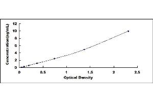 Typical standard curve (WNT4 ELISA 试剂盒)
