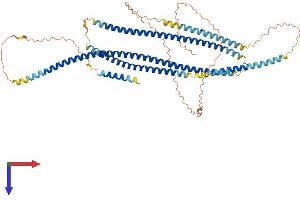 AlphaFold protein structure predicition of Human Recombinant GOLGA8R Protein, UniprotID I6L899 (GOLGA8R Protein (AA 1-631) (His tag))