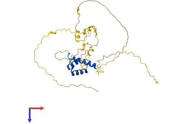 GSX2 Protein (AA 1-305) (His tag)