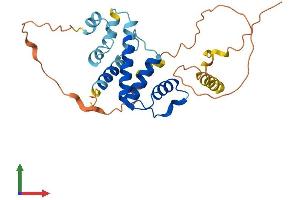 AlphaFold protein structure predicition of Human Recombinant ACBD4 Protein, UniprotID Q8NC06