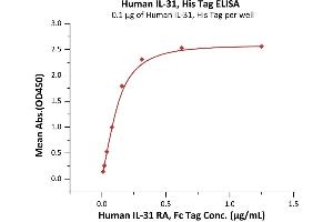 ELISA image for Interleukin 31 (IL31) (AA 24-164) (Active) protein (His tag) (ABIN7013437)