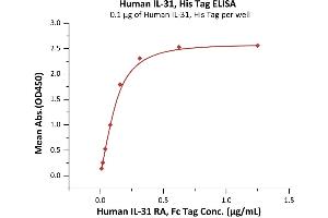 Immobilized Human IL-31, His Tag (ABIN6973122) at 1 μg/mL (100 μL/well) can bind Human IL-31 RA, Fc Tag (ABIN6731283,ABIN6809877) with a linear range of 0. (IL-31 Protein (AA 24-164) (His tag))