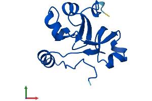 AlphaFold protein structure predicition of Mouse Recombinant Supt4h1b Protein, UniprotID Q9Z199 (Supt4h1b (AA 1-117) protein (His tag))